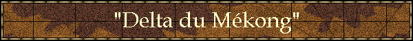 "Delta du Mkong"